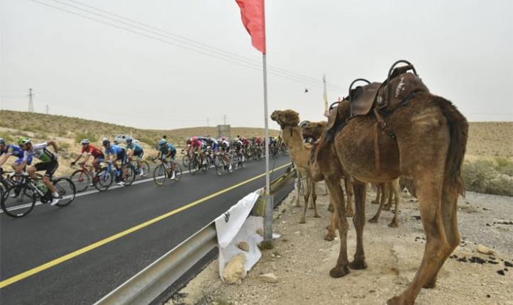 Un gruppo di cammelli assiste allinsolito passaggio del Giro dItalia nel paesaggio desertico del Negev (foto profilo Twitter Giro dItalia)