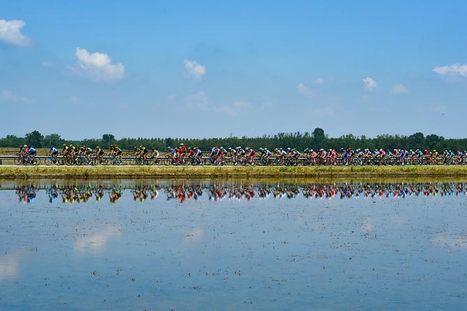 La quiete del passaggio del gruppo tra le risaie della Lomellina prima della tempesta degli ultimi 2 Km di Pratonevoso (foto Bettini)