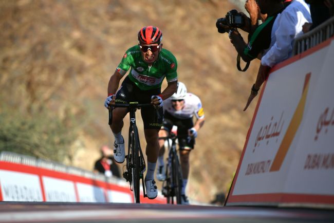 Caleb Ewan aggredisce con piglio deciso le arcigne pendenze del muro di Hatta (Getty Images)